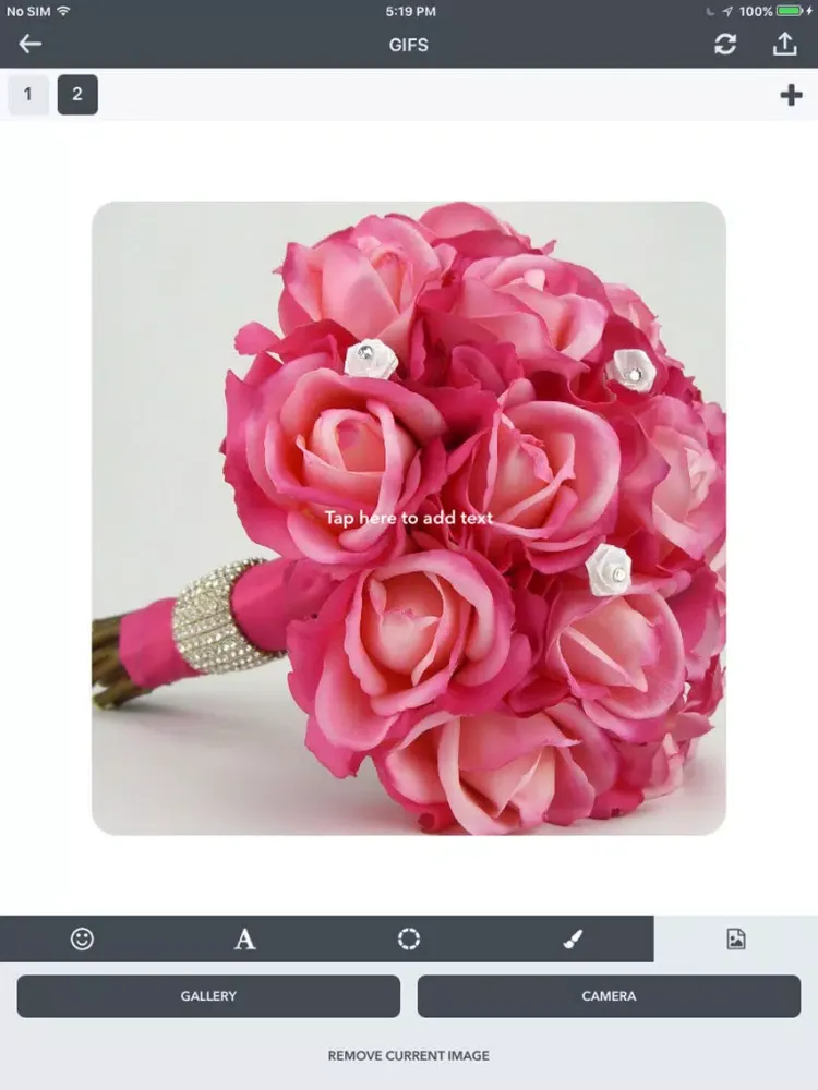 GIF Maker & Editor iPad  Screenshots