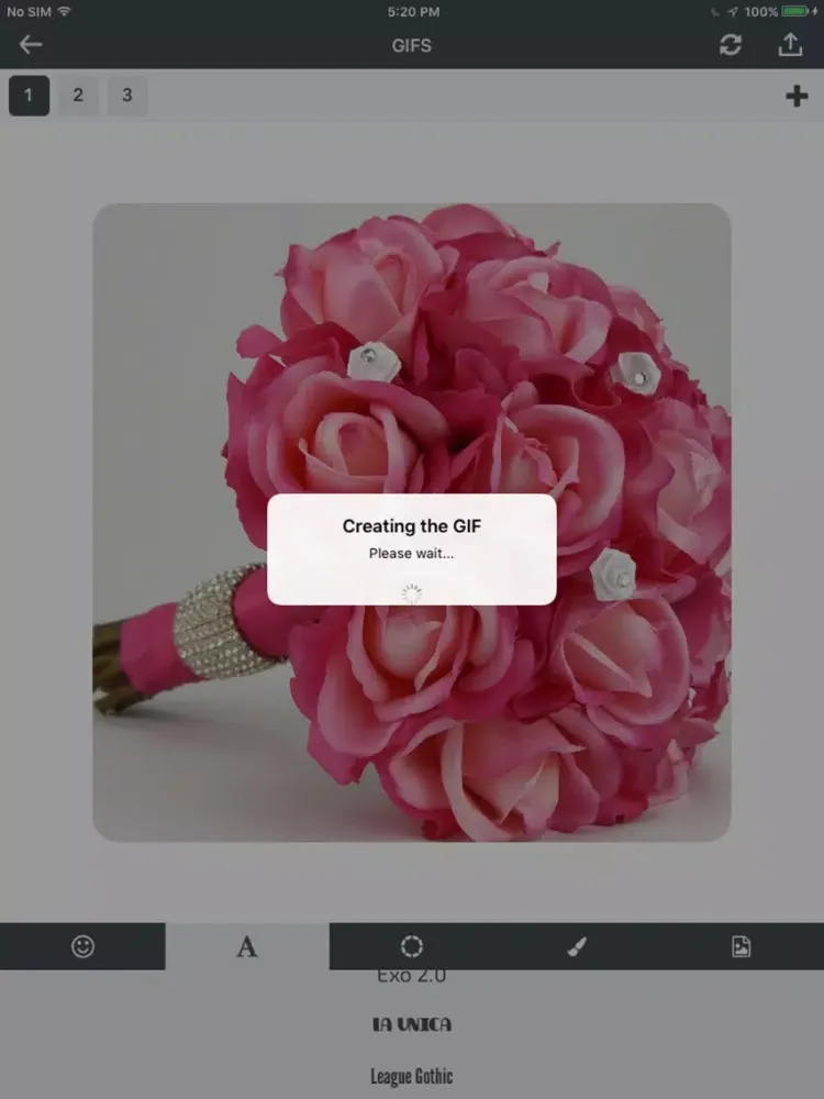 GIF Maker & Editor iPad  Screenshots