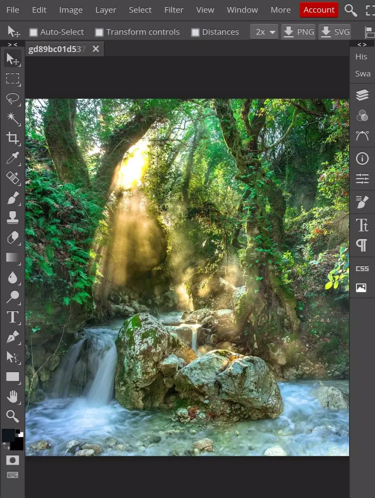 Photopea应用截图