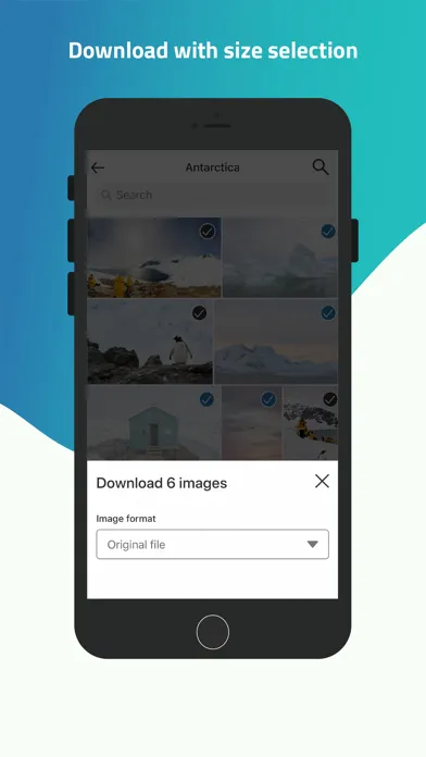 Capturas de tela do FileFlow