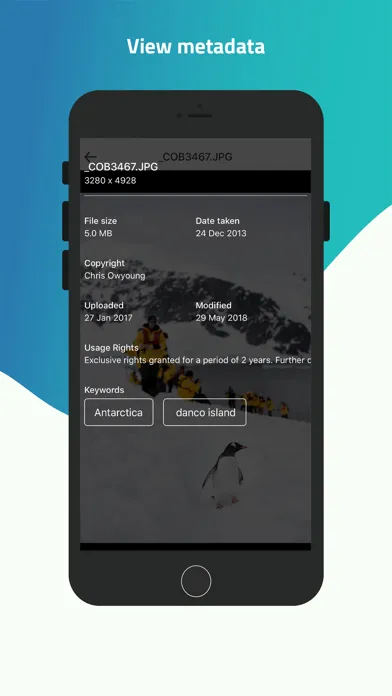 Capturas de tela do FileFlow