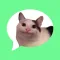 Message stickers : animal meme
