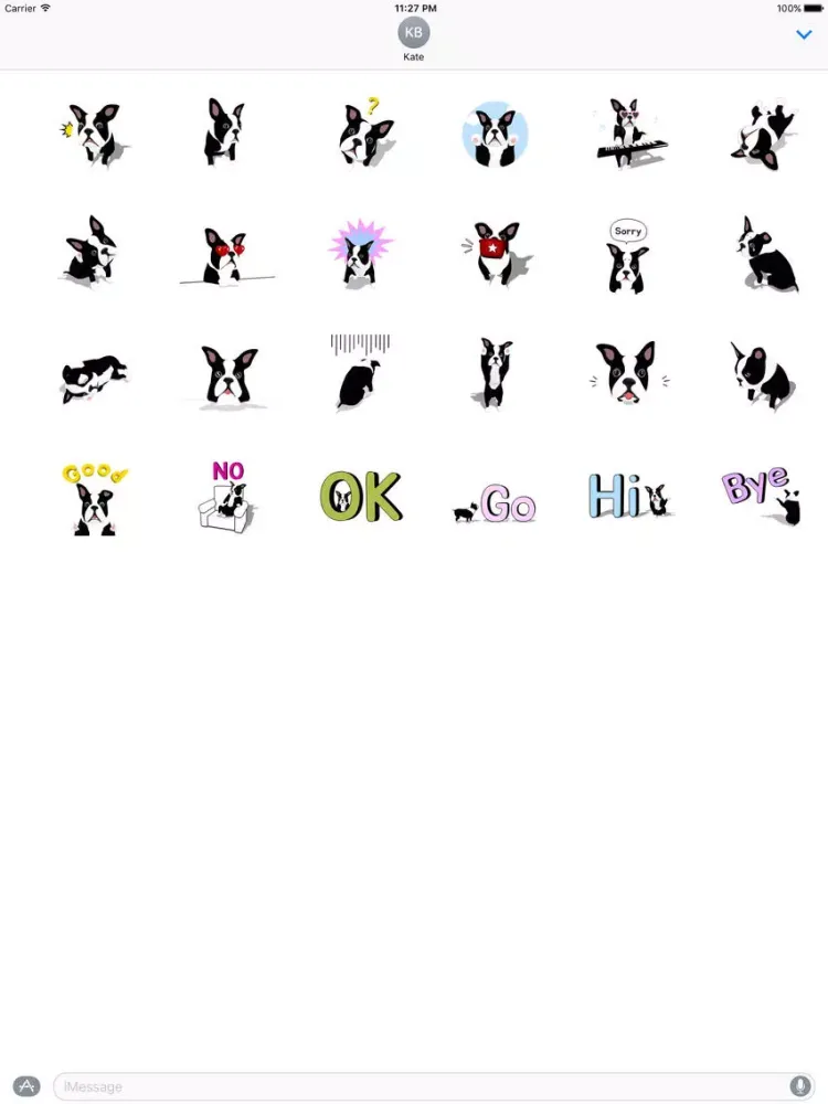 A Cute Boston Terrier Dog iPad 应用截图