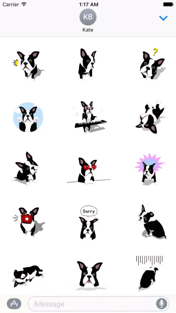 A Cute Boston Terrier Dog应用截图