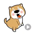 A Funny Shiba Inu Dog Stickers A Funny Shiba Inu Dog Stickers