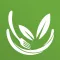 Healthy Eating: Meal Plans