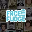 FaceFudge