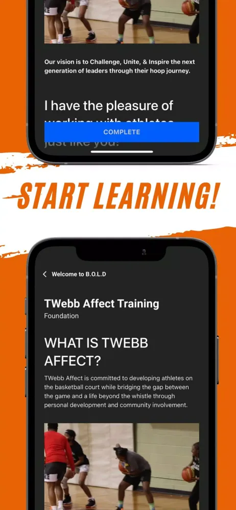 Скриншоты TWebbAffect B.O.L.D.