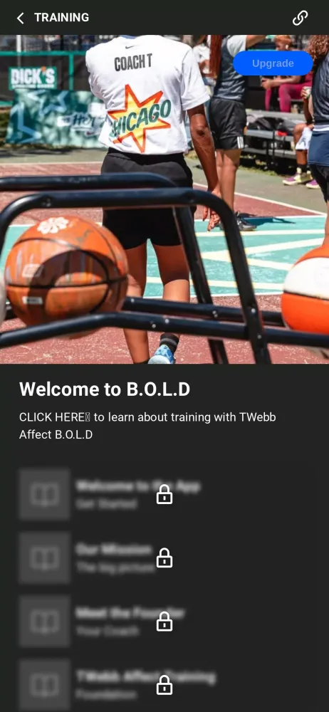 Скриншоты TWebbAffect B.O.L.D.