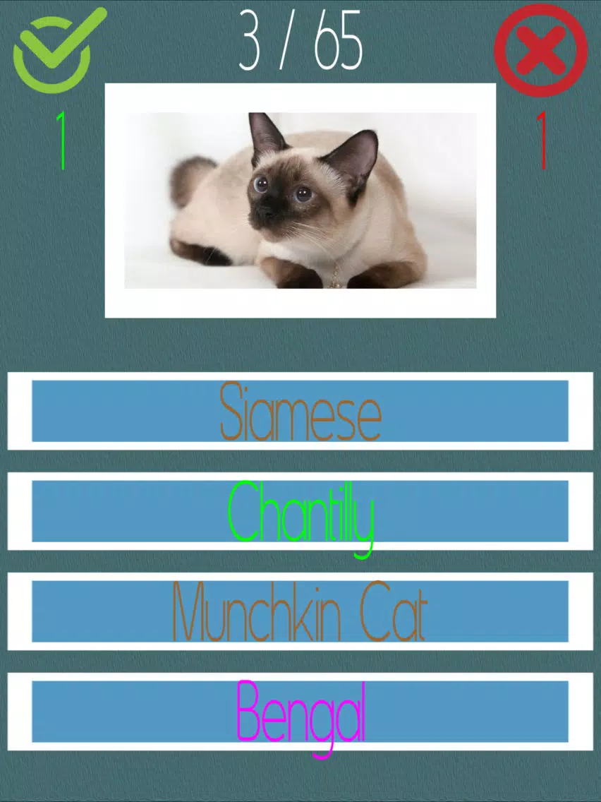 تصاویر Cat Quiz (60+ Breeds) iPad 