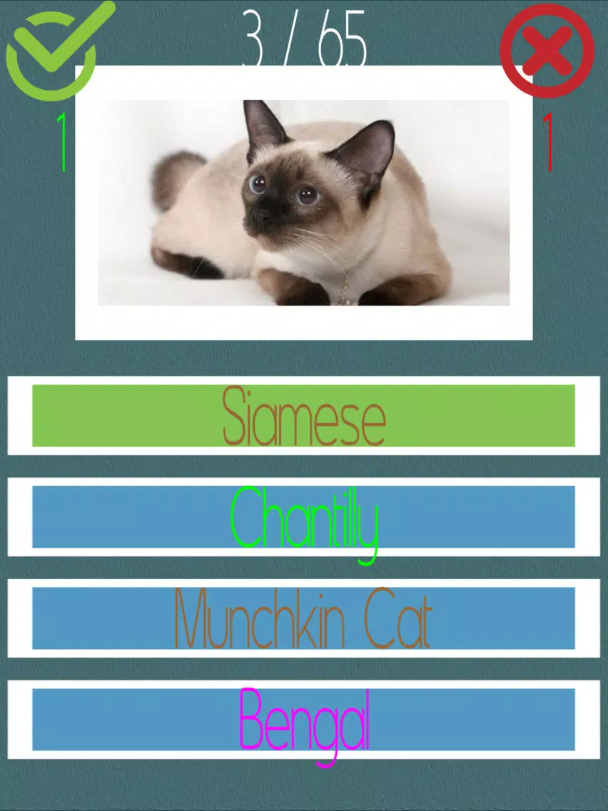 تصاویر Cat Quiz (60+ Breeds) iPad 