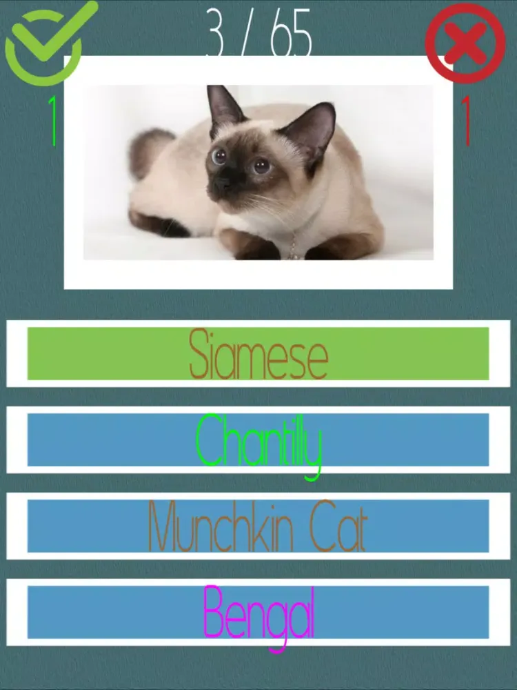 Tangkapan layar Cat Quiz (60+ Breeds) iPad 