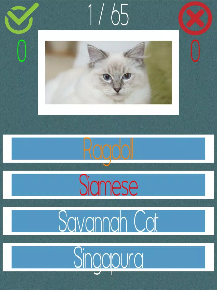 تصاویر Cat Quiz (60+ Breeds) iPad 