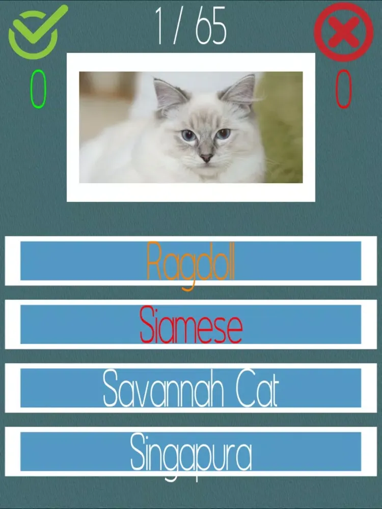 Tangkapan layar Cat Quiz (60+ Breeds) iPad 