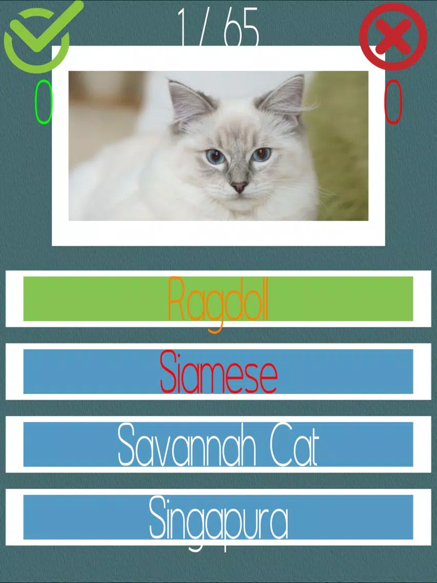 تصاویر Cat Quiz (60+ Breeds) iPad 