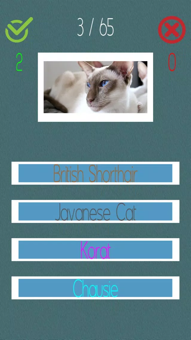 تصاویر Cat Quiz (60+ Breeds)