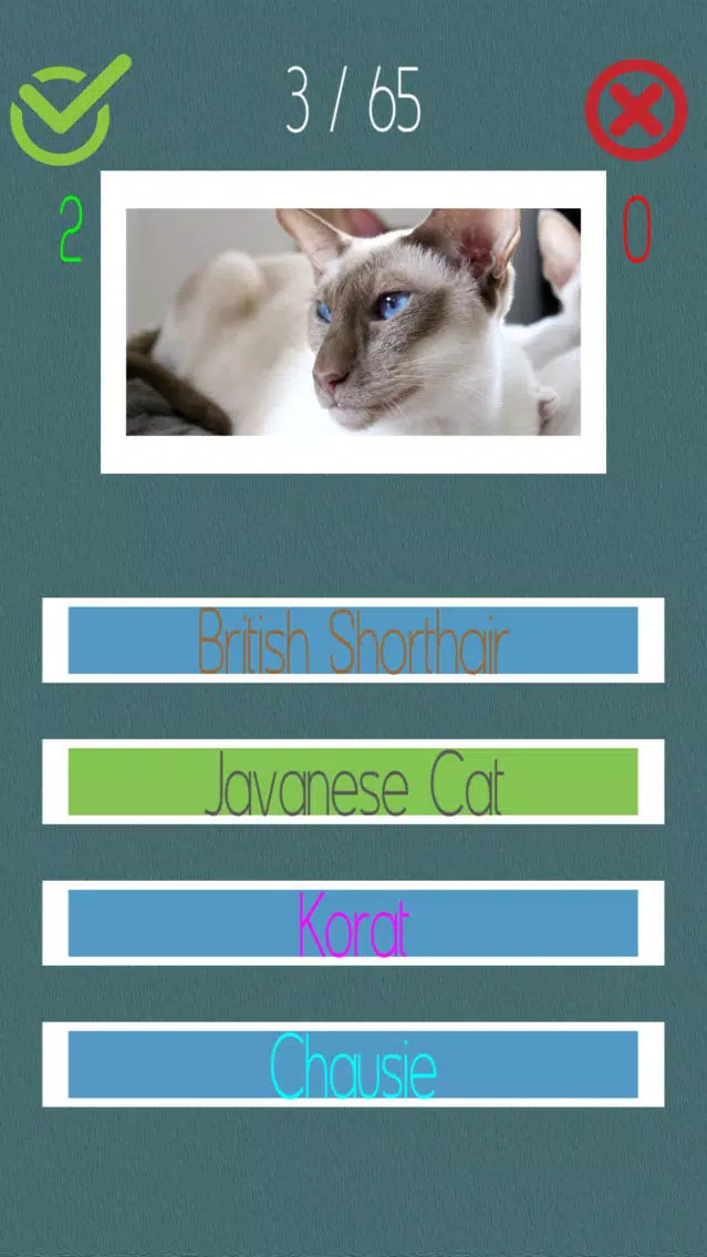 تصاویر Cat Quiz (60+ Breeds)