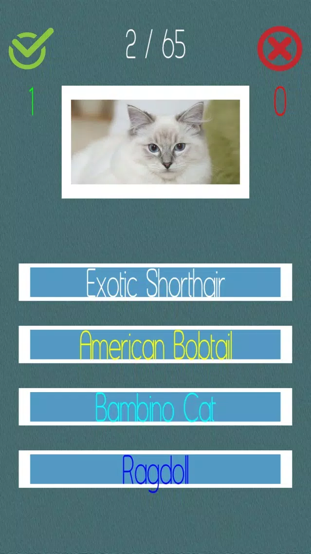 تصاویر Cat Quiz (60+ Breeds)