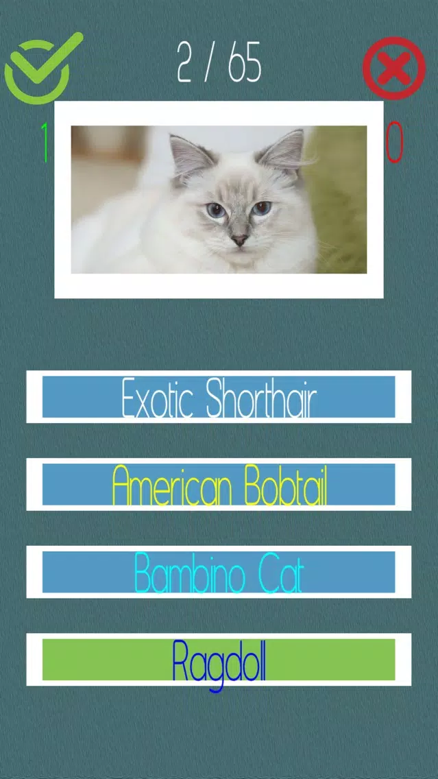 تصاویر Cat Quiz (60+ Breeds)