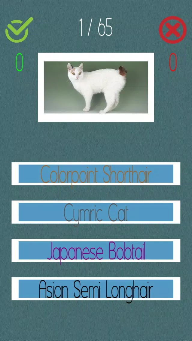 تصاویر Cat Quiz (60+ Breeds)