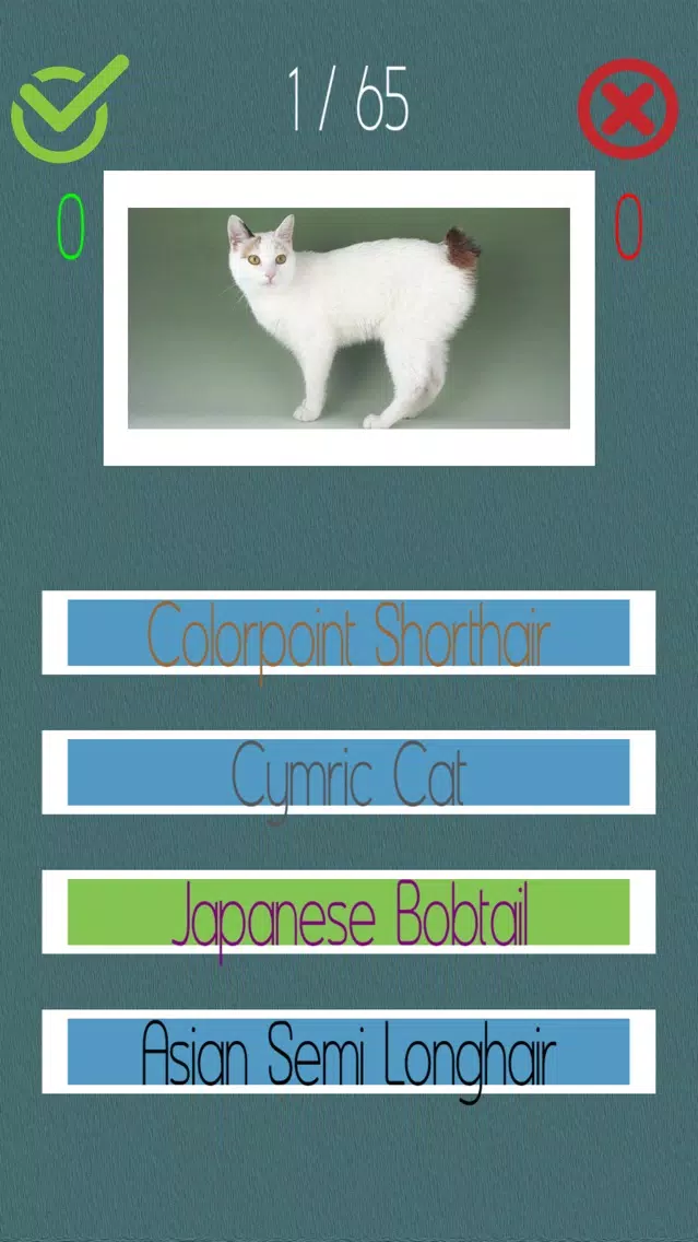 تصاویر Cat Quiz (60+ Breeds)
