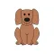 Dog Quiz  (250+ Breeds)