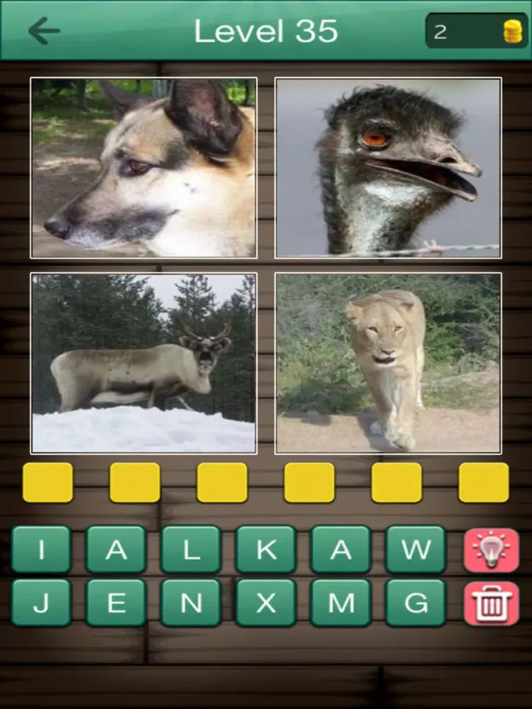 4 Pictures 1 Word iPad 应用截图