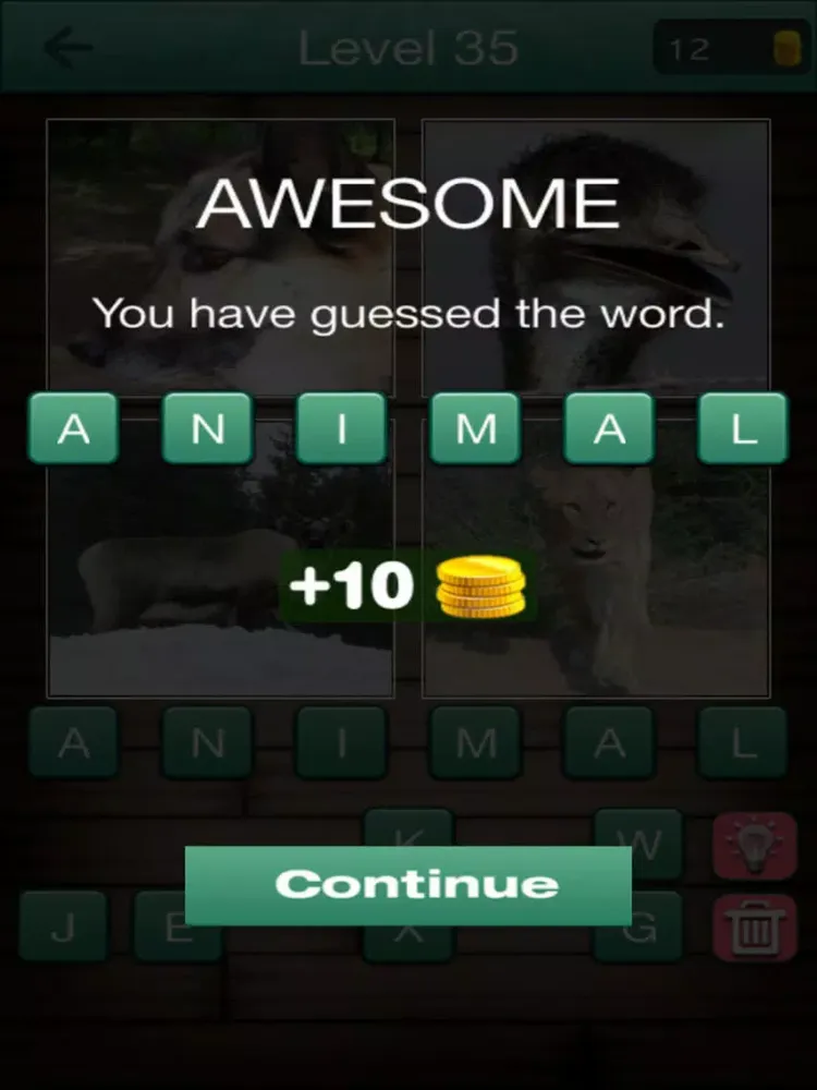 4 Pictures 1 Word iPad 应用截图