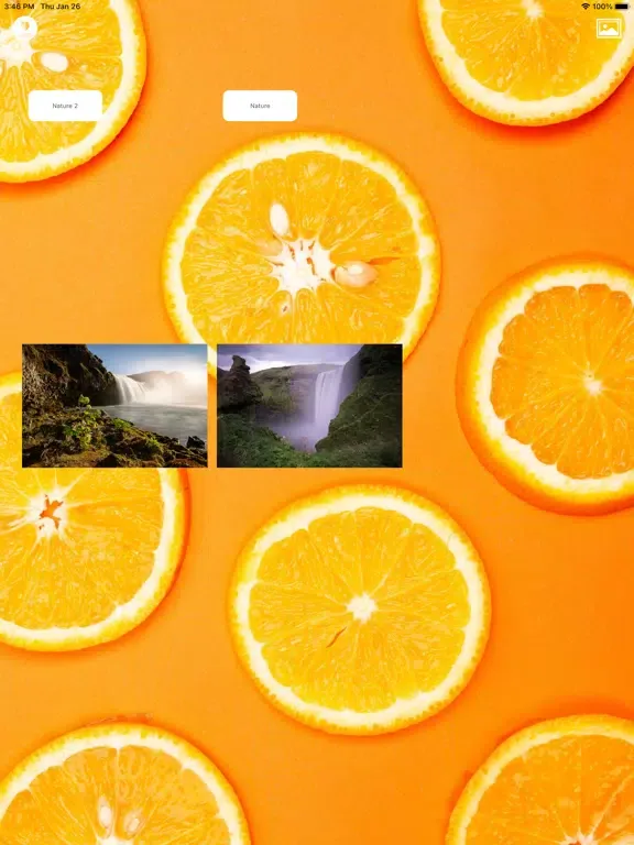 Screenshot di Note Gallery iPad 