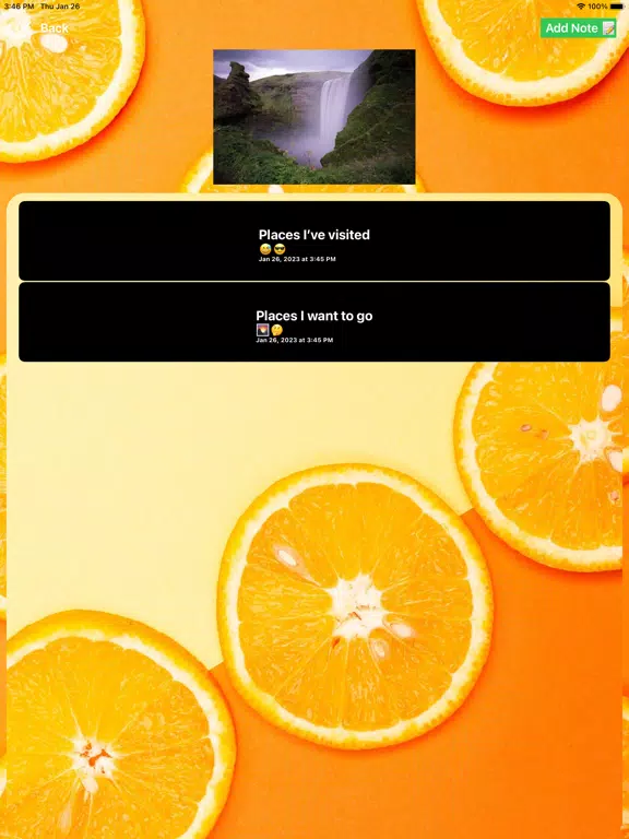 Note Gallery iPad 应用截图