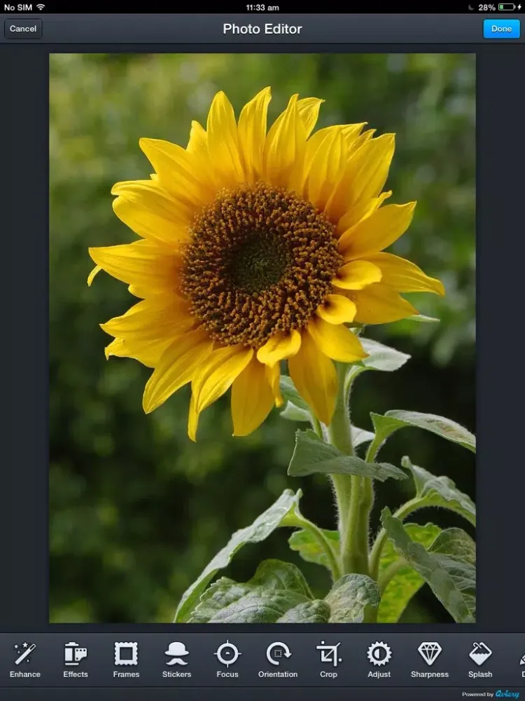 تصاویر Snaps Studio iPad 
