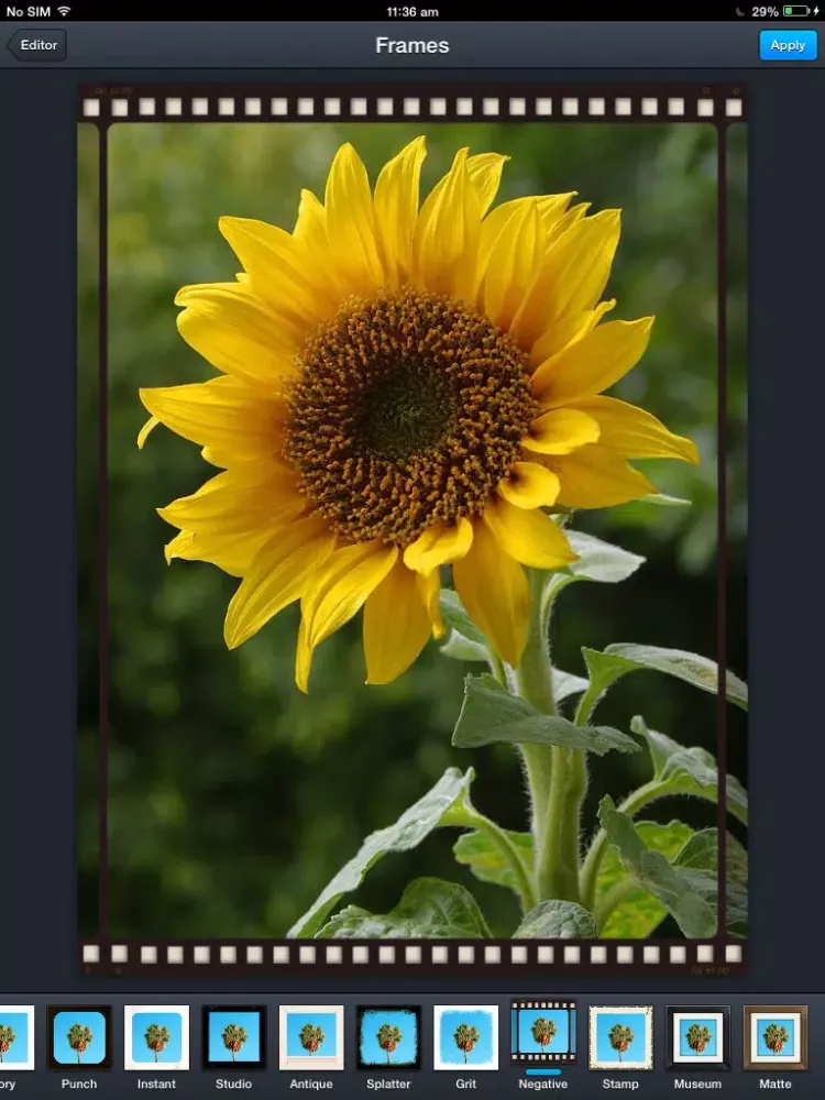 تصاویر Snaps Studio iPad 