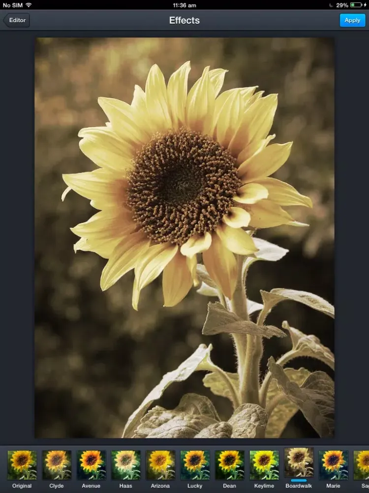 تصاویر Snaps Studio iPad 