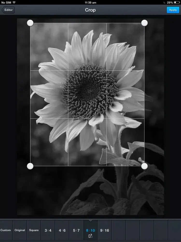 تصاویر Snaps Studio iPad 