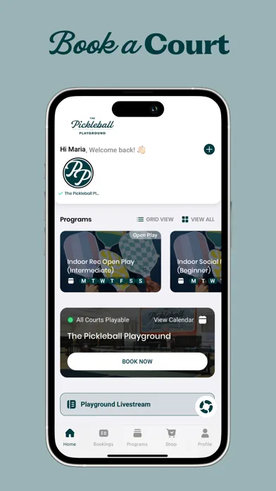 Pickleball Playground应用截图
