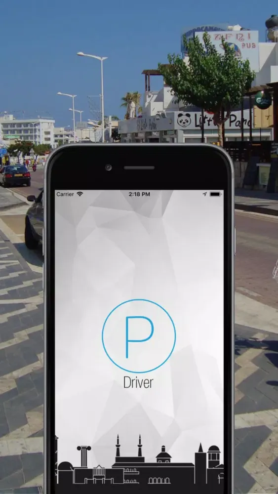 Pick Up Driver应用截图