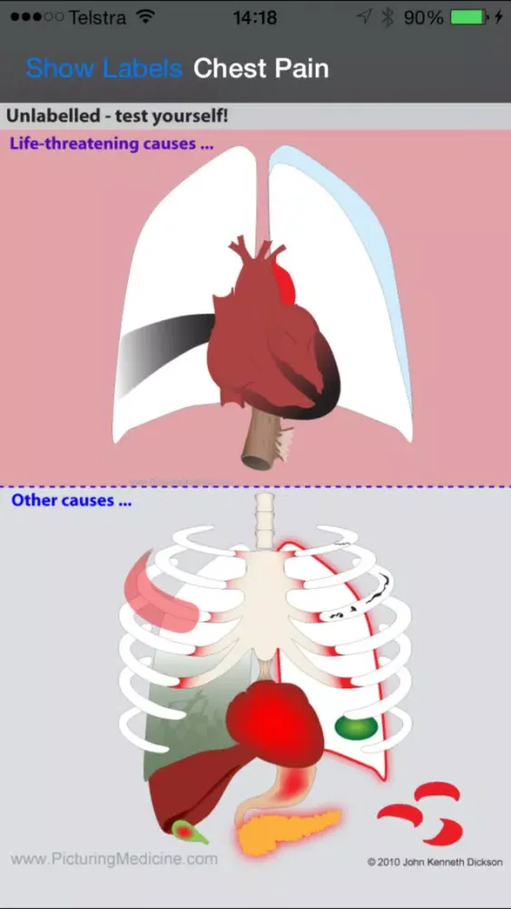 PicturingED Ekran Görüntüleri