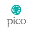 Pico Group Conference 2018