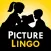 Picture Lingo