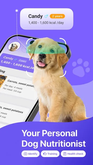 Feedog: homemade dog food diet স্ক্রিনশট