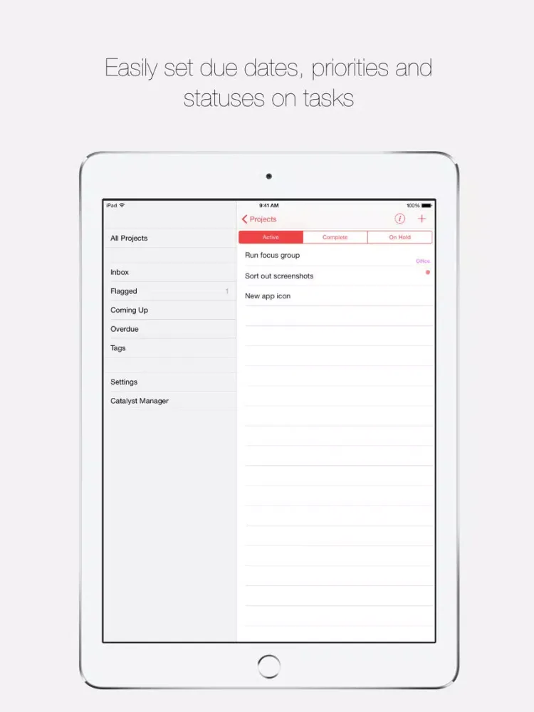 Project Boss- Collaborative Projects and Tasks iPad 应用截图