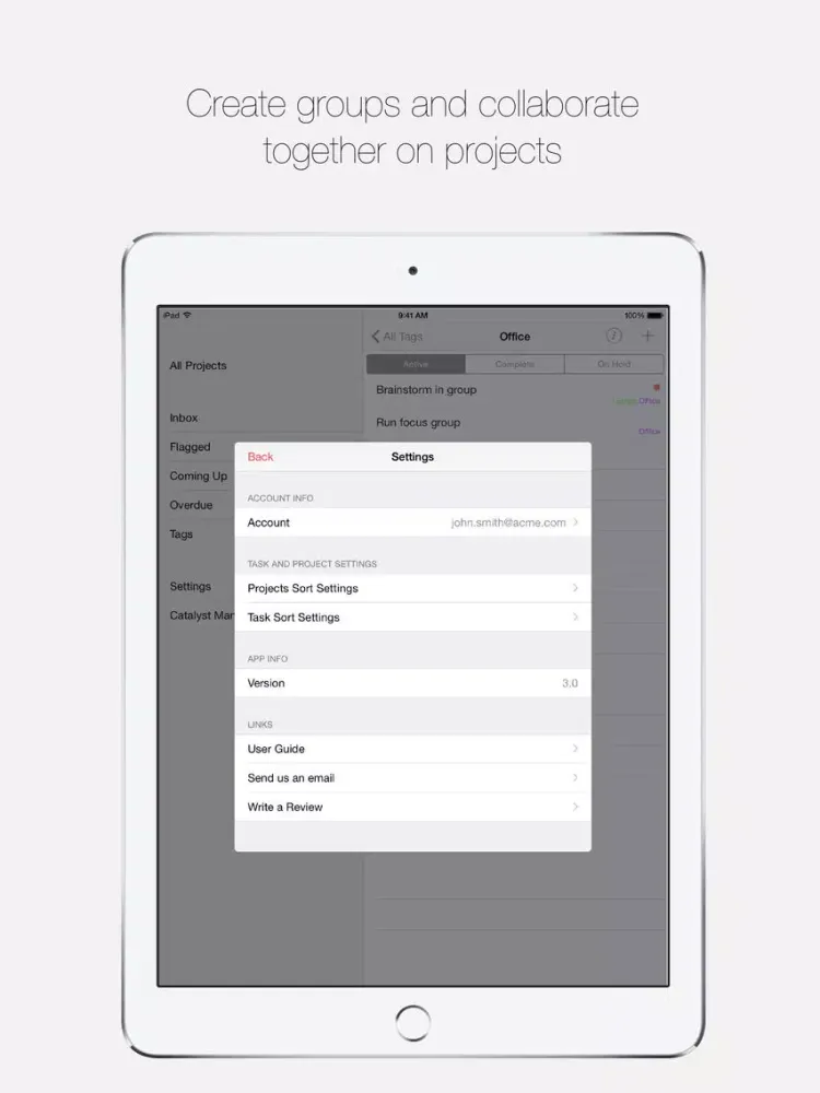 Project Boss- Collaborative Projects and Tasks iPad 应用截图