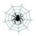 Spider!