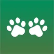 Animals Names