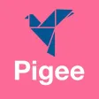Pigee - The Homing Pigeon