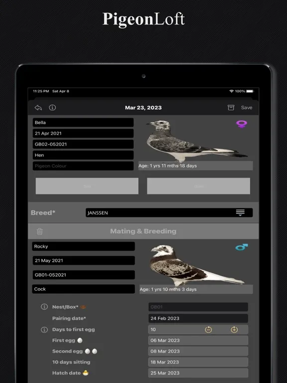 Скриншоты PigeonLoft iPad 