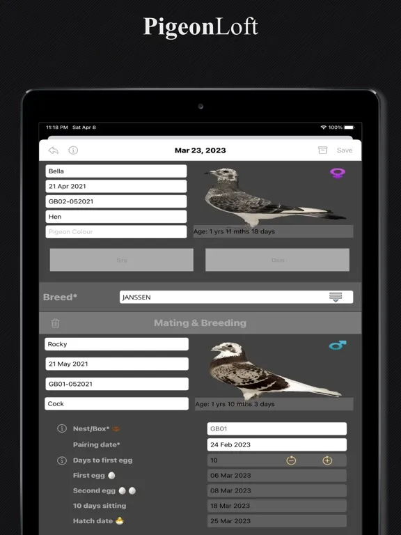 Скриншоты PigeonLoft iPad 