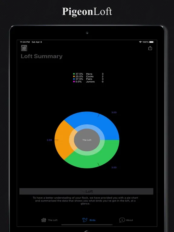 Скриншоты PigeonLoft iPad 