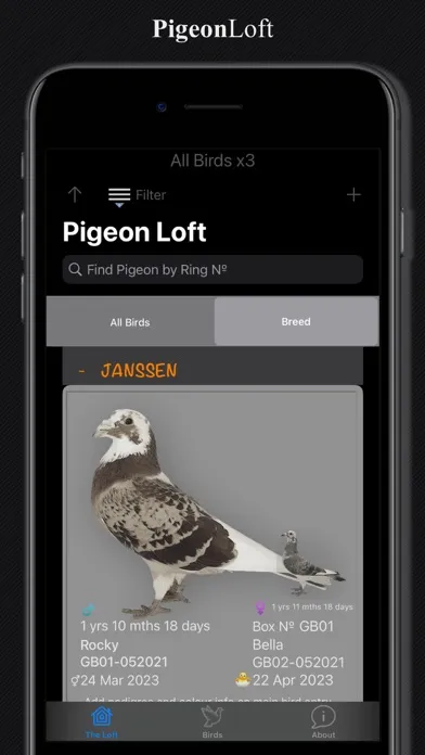 Скриншоты PigeonLoft