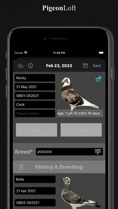 Скриншоты PigeonLoft